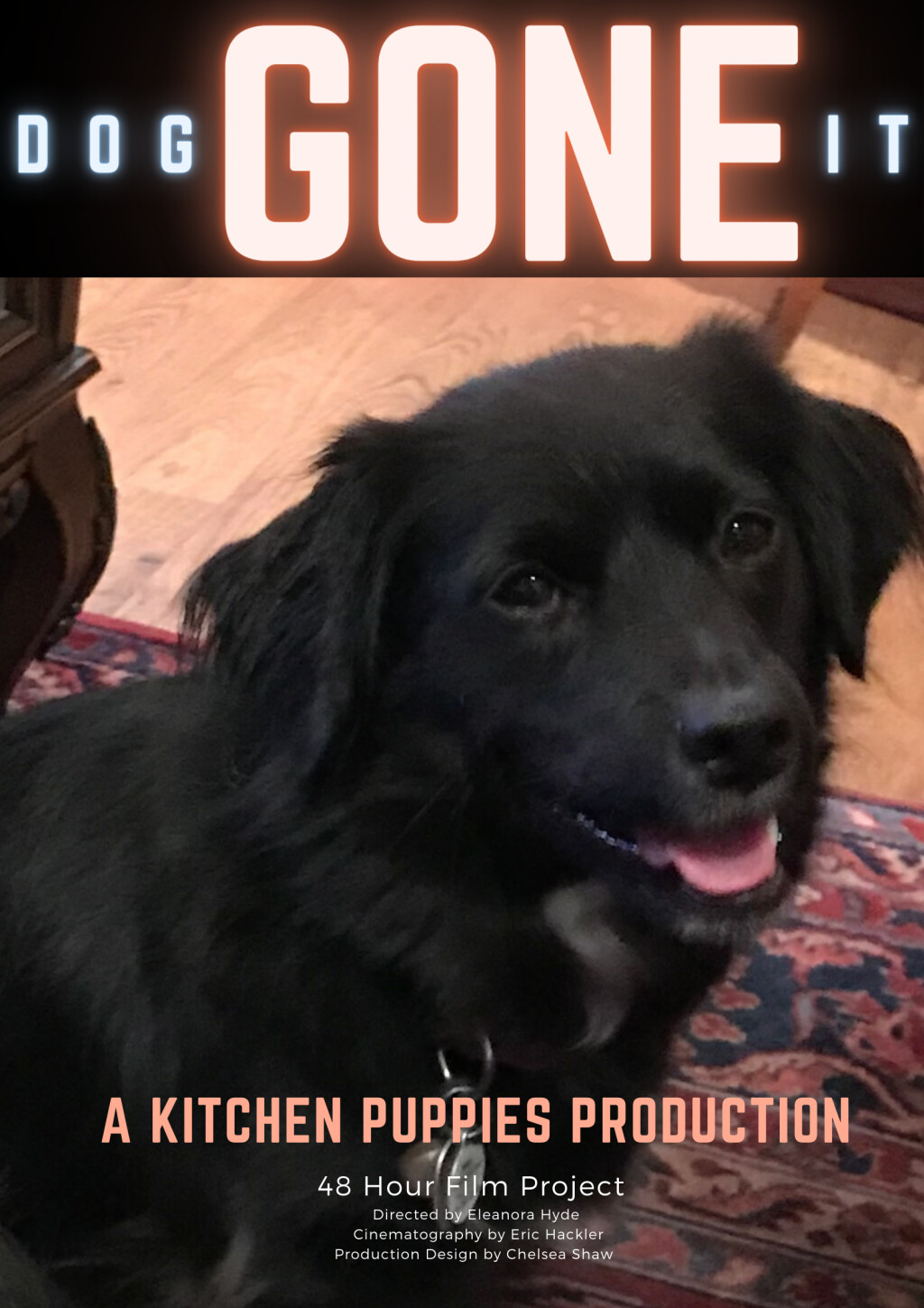 Filmposter for dogGONEit